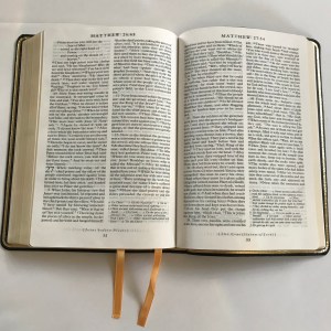 A4HSSAgbTCi+82vY40OuAg