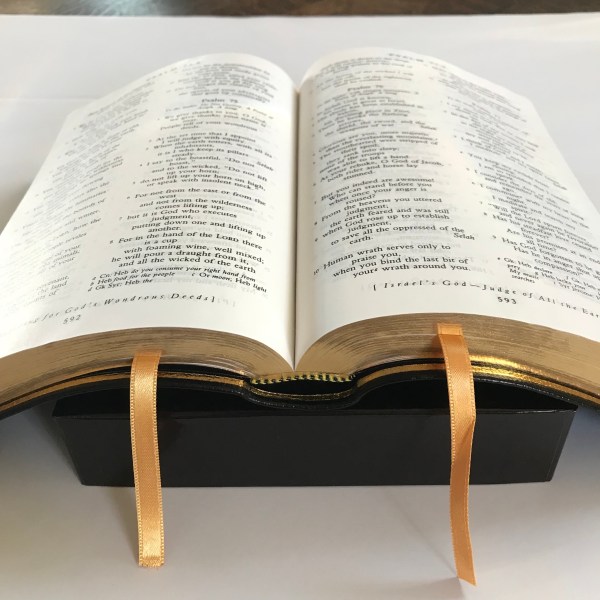 fwXXshopR56%UjlEy59gwg